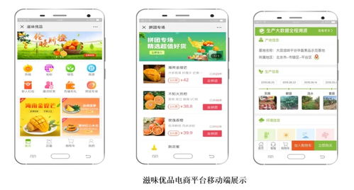 智慧農業新篇章 1.28億元數字化服務，守護農產品安全生命線