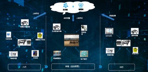 共建生態，智鏈未來 物聯網與區塊鏈聯合創新中心關鍵進展發布